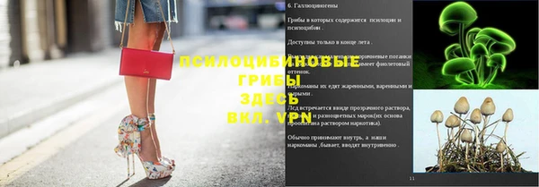 прущая мука Верхний Тагил